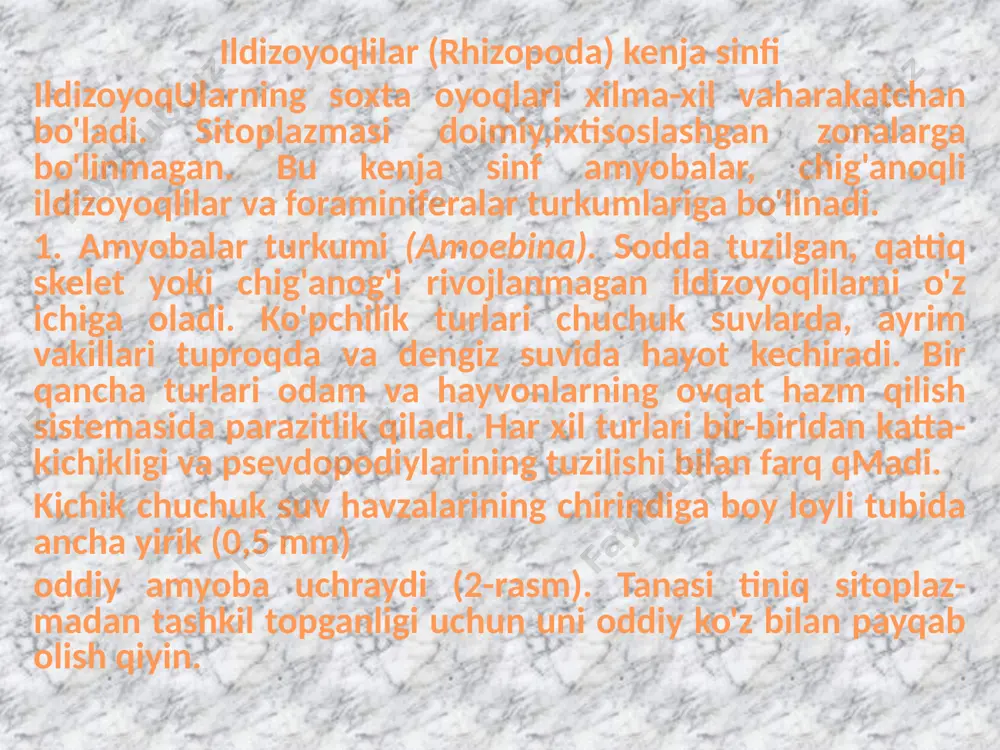 it ko'p sonli kalta va yo'g'on psevdopodiylari yordamida juda faol harakat qiladi. bu psevdopodiylar asosan ektoplazma hisobidan hosil bo'ladi. ichburug' amyobasi juda keng tarqalgan. yer sharining turli hudud-larida amyoba bilan 10 foizdan 30 foizgacha odamlar zararlanishi mumkin. lekin amyobiaz bilan kasallanish belgilari asosan issiq tropik va subtropik xududlarda yashovchi xalqlar o'rtasida uchraydi. o'rta va shimoliy keng-liklarda yashovchi aholi ichagida ham amyoba uchrab tursa-da, kasallanish hollari deyarli kuzatilmaydi. amyoba bilan zararlangan, lekin ichburug' bilan kasallanmaydigan odamlar amyoba tashuvchilar hisoblanadi. ba'zi hollarda, masalan issiq iqlimda organizm immuniteti kuchsizlanib qolganida amyobalar ichak devoriga kirib, epiteliy hujayralarini yemiradi va og'ir qonli ichburug' kasalligini keltirib chiqaradi. amyobalar asosan jarohatdan chiqadigan qondagi eritrotsitlar bilan oziqlanadi. kasallik va-qtida davolanmasa sumnkali formaga o'tadi. kasal kishi juda ozib ketishi, ba'zan halok bo'lishi mumkin. ichburug' amyobasi sista orqali tarqaladi. ovqat qoldig'i bilan yo'g'on ichakdan to'g'ri ichakka tushgan amyobalar psevdopodiylarini tortib olib, yumaloqlanadi. ektoplazma esa yupqa va pishiq qobiq ishlab chiqargach, …
