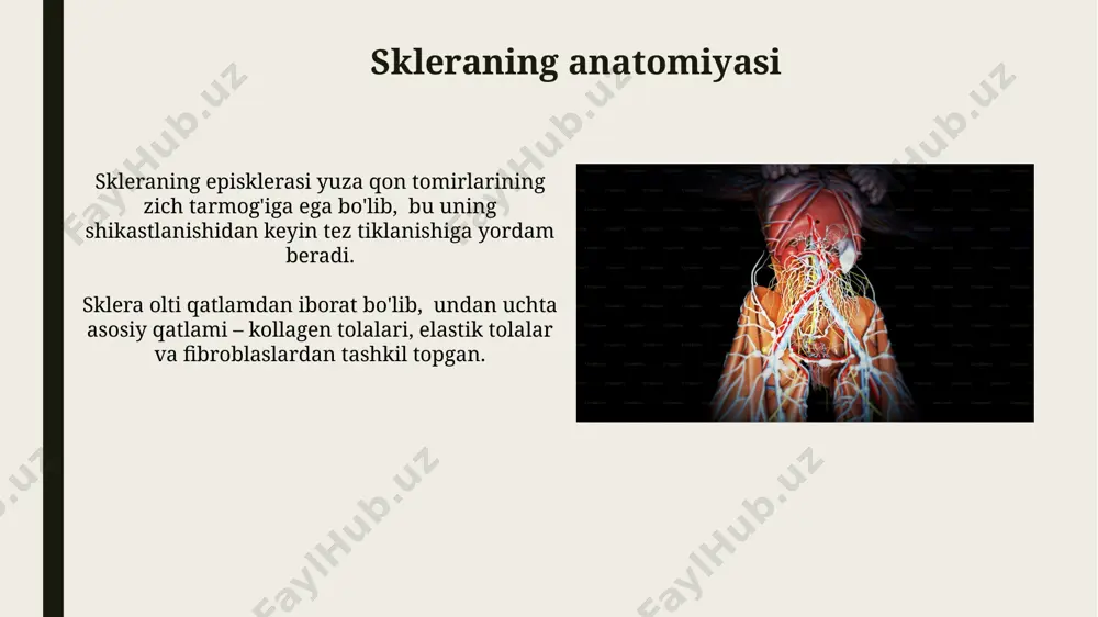 kinligini ko'rsatadigan tadqiqotlar mavjud. orbit o'smalarini davolash radiatsion terapiya orbitadagi o'smalarning 30-40% da qo'llaniladi va o'smaning hajmini kamaytirish, metastazlarni oldini olish va bemorning hayot sifatini yaxshilashga qaratilgan. orbit o'smalarini davolashda jarrohlik usullari, masalan, eksizion biopsiya yoki orbitaning dekompressiya operatsiyasi, 50% dan ortiq hollarda qo'llaniladi va kasallikning bosqichiga bog'liq. korneanining kasalliklari ko'z shox parda yaralanishlari, masalan, abrazion yoki perforatsion, uning shaffofligini buzadi va infektsiyalar, shramlanish yoki ko'rish qobiliyatining pasayishiga olib kelishi mumkin, bu esa shifokor tomonidan 1-5 ballli shkala bilan baholanadi. ko'z shox pardasining distrofiyalari, masalan, keratokonus, shox pardaning yupqalanishi va konussimon shakllanishiga olib keladi, bu esa ko'rish keskinligining pasayishiga va astigmatizmga olib keladi. unda 1 dan 5 gacha bo'lgan darajalar mavjud. kon'yunktivaning anatomiyasi kon'yunktivaning qon ta'minoti ko'plab mayda tomirlar orqali amalga oshiriladi, shu jumladan palpebral va bulbar kon'yunktivalarni ta'minlovchi 2 ta asosiy arteriya tizimi mavjud. kon'yunktiva, ko'zning oldingi yuzasini qoplaydigan, ikki qavatli epiteliy to'qimadan tashkil topgan bo'lib, uning sirt qavati …