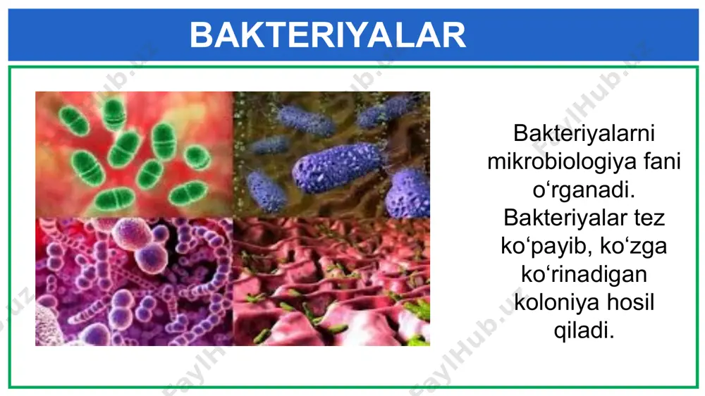 tirik organizmlarga nimalarni kiritdik? - Page 5