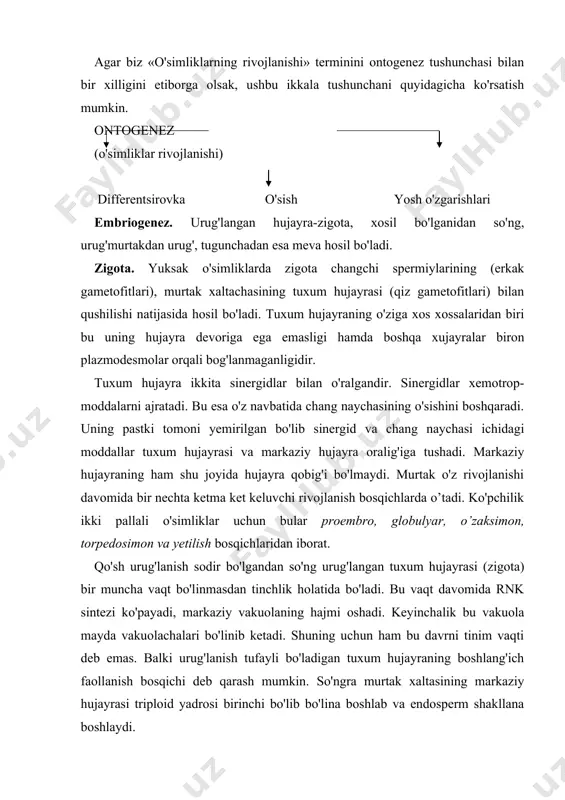 ermning rivojlanib shakllanishi uchun 1sk va sitokinin zarurdir. ushbu gormonlar nutsellusdan va platsentdan (urug'ko'rtakning urug'murtak devoriga birikkan joyi) keladi. zigotaning bir necha marotaba bo'linishidan keyin hujayralar bir qator ko'rinishdagi ipsimon shaklga ega bo'ladi va ular suspenzor deb ataladi. suspenzorning vazifalari quyidagicha deb qaraladi: l)uzayish mobaynida rivojlanuvchi murtakni endosperm to'qimalariga qarab surish; 2)nutsellus va intugumentdan chiqayotgan moddalarni yutuvchi va ularni murtakka o’tkazuvchi gaustoriyalar vazifasini o’tash; 3) fitogormonlarni sintezlash. ayrim o'simlik turlarida suspenzorning murtakka tegib turuvchi bo'lagining bir qism hujayralari murtak tarkibiga apikal meristemalar va murtak ildizining ildiz qinchalari sifatida kirishi mumkin. ikki hujayrali murtakning ikkinchi hujayrasining ikki marotaba ketma-ket uzunasiga bo'linishi natijasida kvadrant deb ataluvchi hosila yuzaga keladi. so'ngra ushbu to'rt hujayraning bar biri kundalangiga bo'linadi va oktantni hosil qiladi. oktantning atrofidagi to'rtta hujayrasining bo'linishi natijasida novdaning urug'pallasi va apeksi shakllanadi. qolgan to'rttasidan esa gipokotil va ildizning bazal qismi shakllanadi. ammo murtakning ushbu bo'linishi va shakllanishi bosqichida hali aniq ajralgan (differentsiallashgan) …