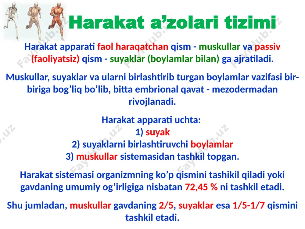 ossein, mutuz modda) bo’lsa, qolgan 2/3 qismi anorganik moddalardir (asosan kalsiy tuzlari, ayniqsa fosfor kislotali ohak- 51,04% ni tashkil etadi). suyaklar elastikligini ossein moddalari ta’minlasa, qattiq (pishiq) ligini mineral tuzlar hosil qiladi. yosh organizm suyaklari tarkibida ossein ko’p bo’lganligidan ular egiluvchan va mahkam bo’ladi. yosh ulg’ayib borgan sari ular mo’rt bo’lib qoladi. chunki uning tarkibida ossein moddasi kamayib mineral tuzlar miqdori oshib boradi. uzun suyaklarning ikki uchi - (epiphysis), epifizlari, tanasi diafizi (diaphysis) bo’ladi. uzun suyak epifizlari bo’g’im yuzalari (facies articularis) bilan tugaydi. suyaklar epifizi va diafiz orasidagi qismiga metafiz (metahysis) deyiladi. bundan tashqari, suyaklar tuzilishi uning shakl va vazifasiga bog’liq bo’ladi, ya’ni suyaklar vazifasi o’zgarganda, uning tuzilishi ham o’zgaradi yoki buning aksi kuzatiladi. suyakning sirtqi yuzasi suyak ustki pardasi (periost-periostqum) bilan qoplangan (suyakning bo’g’im yuzalari, paylar va boylamlar yopishgan joylarda periost bo’lmaydi). suyak kovaklari, ilik bo’shlig’i (cavitas medullaris) hamma vaqt suyak iligi bilan to’la. suyaklarda uchraydigan o’siqlarga (do’mboqcha, g’adir-budur …