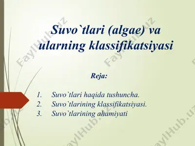 suvo`tlari (algae) va ularning klassifikatsiyasi — PPTX