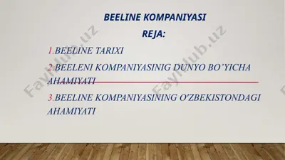 beeline kompaniyasi — PPTX