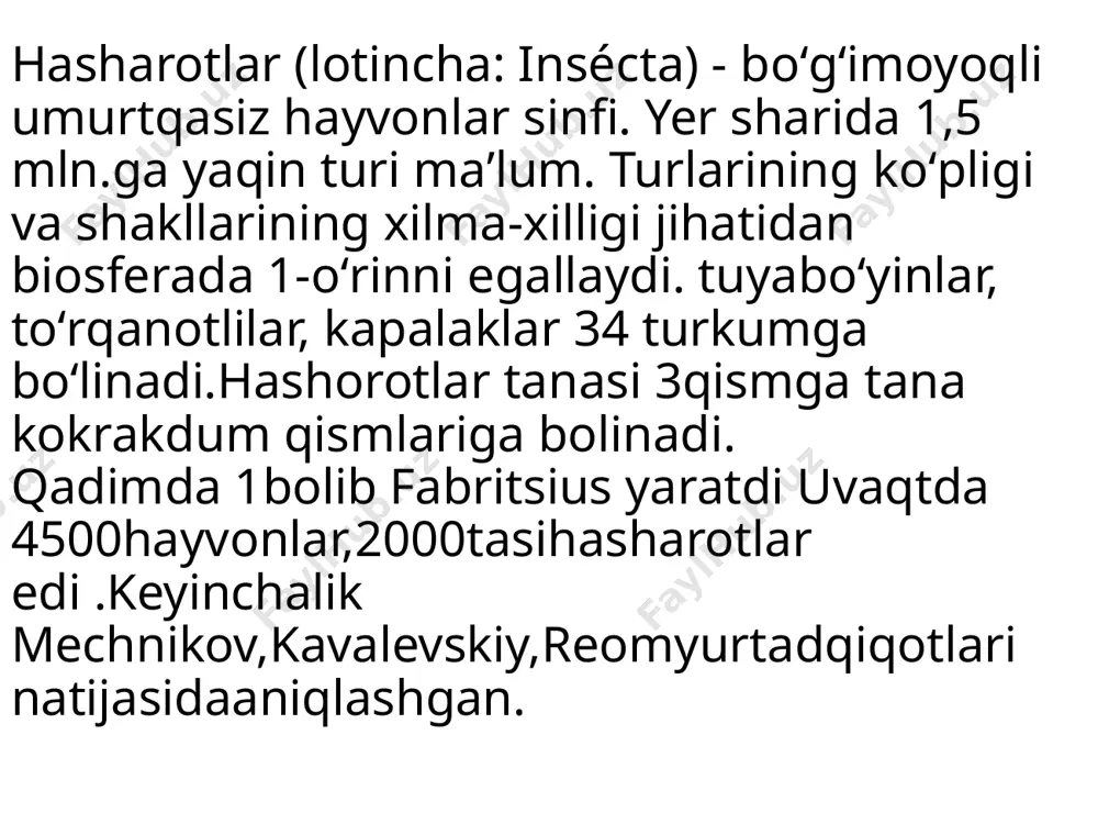 hasharotlar (insecta) - Page 2
