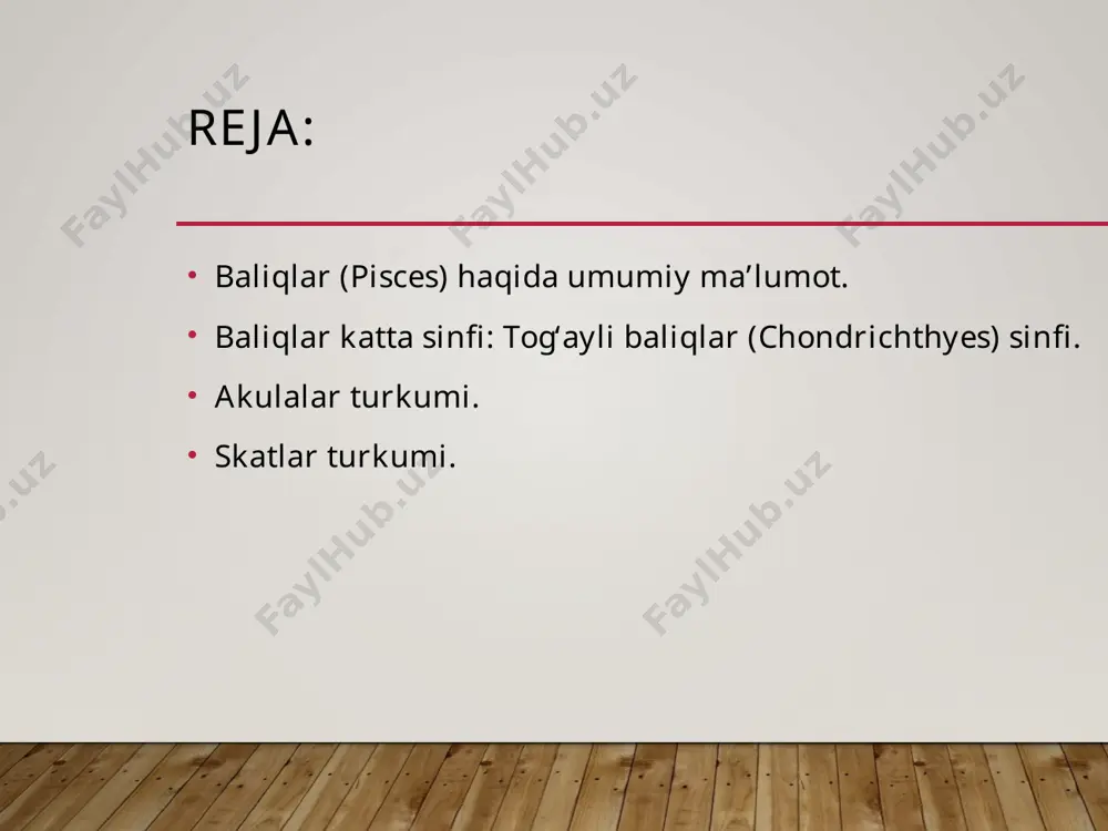 ko'r bo'lib qolsa, yon chiziqlar orqali bemalol yasha oladi. koʻpchilik baliqlarning buyragi, hazm sistemasi rivojlangan. yirtqich baliqlarning ichagi kalta, oʻtxoʻrlariniki uzun. masalan, oʻtxoʻr doʻng peshona baligʻining ichagi tanasiga nisbatan 13-marta uzunroq. jigar va meʼda osti bezlari bor. koʻpgina baliqlar ichagida ovqat hazm qilishda ishtirok etadigan pilorik oʻsimtasi boʻladi. akula va osyotrsimonlar ichagida spiral klapani bor. koʻpchilik baliqlarning alohida anal va siydiktanosil teshiklari boʻladi. akulalar va ikki xil nafas oluvchilarda klapani boʻladi. ayirish organlari — mezonefrosdan iborat. mezonefros umurtqa pogʻonasi yoniga oʻrnashgan. baliqlar ayrim jinsli, baʼzi turlari (tosh olabugʻasi) germafrodit. baliqlar tana harorati beqaror, sovuqqon jonivorlardir. tana harorati deyarli suv haroratiga yaqin, baʼzan 0,5 — g ortiqroq boʻladi. serharakat baliqlar tana harorati muhit taʼsirida bir oz koʻtarilishi, mas, tez suzayotgan tunesda tana harorati suvnikidan 10° gacha yuqori boʻlishi mumkin. baliqlar har xil haroratli suvda yashashga moslashgan. tropik suvlarda yashovchi baliqlar 31 c gacha boʻlgan suvlarda, karp tishli baliq kaliforniyaning 52° li …