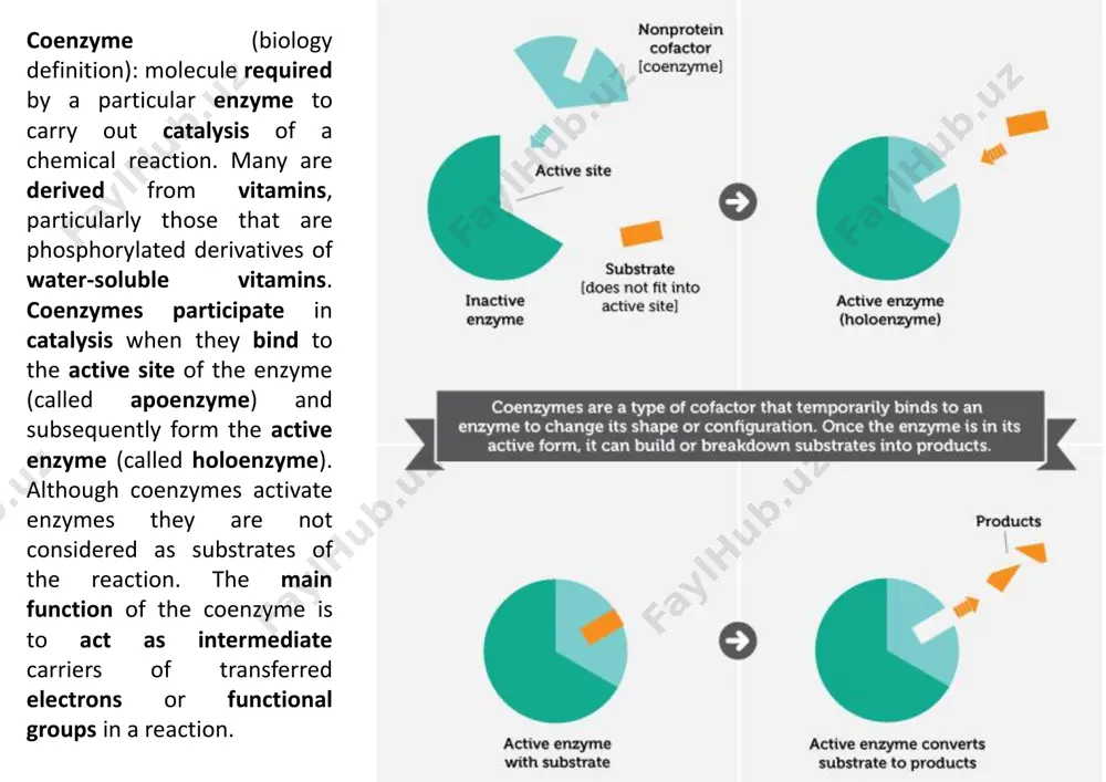 tic proteins. vitamins vitamins (from lat. vita - life) are low-molecular organic compounds of various chemical nature, necessary for the implementation of vital biochemical and physiological processes in living organisms. the body of humans and animals does not synthesize vitamins or synthesizes in insufficient quantities, so it must receive them ready-made with food. vitamins have extremely high biological activity and are required by the body in very small quantities - from a few micrograms to several mg per day. fat soluble vitamins ch3 ho h3c o ch3 ch3 o o ch3 n ho me me me me h ch2oh vitamin e -tocopherol vitamin k1 n = 3 vitamin d3 vitamin a (all-trans) fat-soluble vitamins are stored in the body's liver, fatty tissue, and muscles. the four fat- soluble vitamins are vitamins a, d, e, and k. these vitamins are absorbed more easily by the body in the presence of dietary …