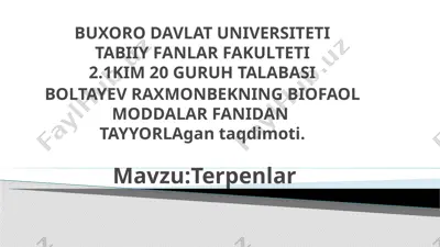terpenlar — PPTX