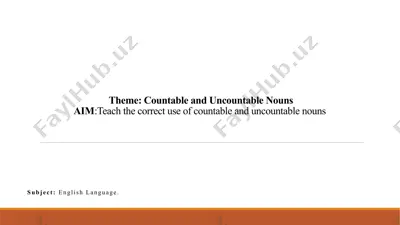 countable and uncountable nouns — PPTX