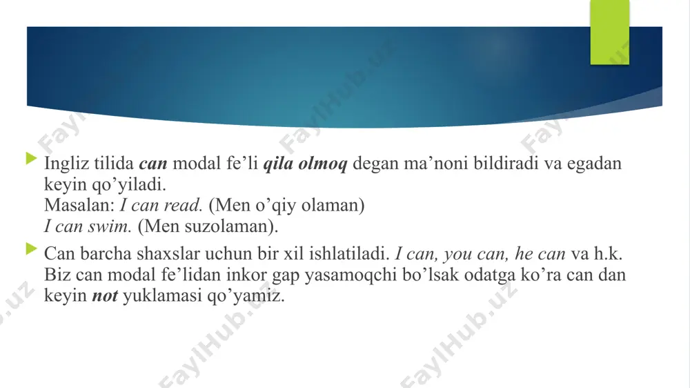 can/can’t modal fe’li - Page 3