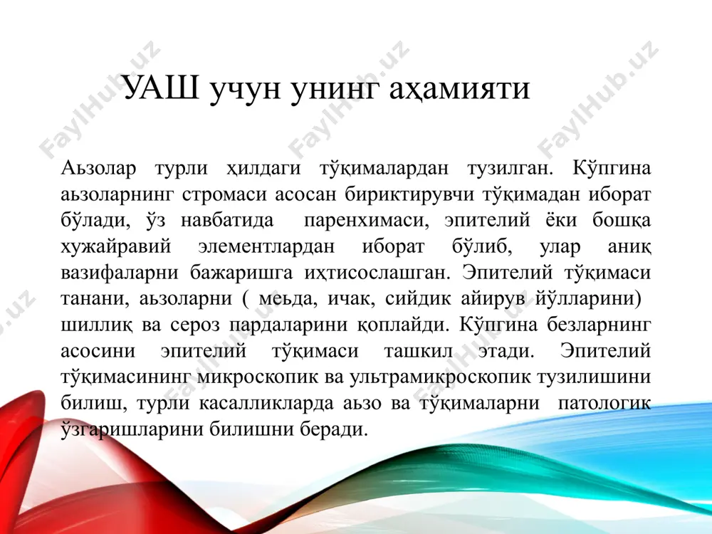 рана эпителий ҳужайралари ҳужайра ядролари ингичка ичакнинг бир қатали бир қаторли призматик жиякли эпителийси микрофотографияси эпителий тўқимаси бир қаватли бир қаторли призматик эпителий эпителий тўқимаси бир қаватли бир қаторли призматик эпителий ворсинка ингичка ичак шиллиқ парадаси микрофотографияси крипта жиякли эпителий қадаҳсимон ҳужайралар 100 мкм бир қаватли кўп қаторли киприкли эпителий 1-киприкли эпителиоцит, а-киприкчалар, 2-қадаҳсимон ҳужайра, 3-баланд киритма ҳужайра, 4-паст киритма ҳужайра, 5-эндокрин ҳужайра, 6-базал мембрана, 7-сийрак толали шаклланмаган бириктирувчи тўқима, 8-қон томир трахеянинг бир қаватли кўп қаторли киприкли эпителийси микрофотографияси эпителий тўқимаси базал мембрана бир қаватли кўп қаторли эпителий паст киритма ҳужайра баланд киритма ҳужайра киприкли ҳужайралар киприкчалар базал танача кўп қаватли ясси мугузлаемайдиган эпителий эпителий тўқимаси кўп қаватли ясси мугузланмайдиган эпителий қизилўнгачнинг кўп қаватли ясси мугузланмайдиган эпителийси микрофотографияси ясси ҳужайралар қавати базал мембрана ўсувчи қават тери эпидермиси микрофотографияси эпителий тўқимаси терининг кўп қаватли ясси мугузланувчи эпителийси (эпидермис) эпидермис дерма 100 мкм тери эпидермиси тузилиши схемаси эпителий тўқимаси терининг кўп …