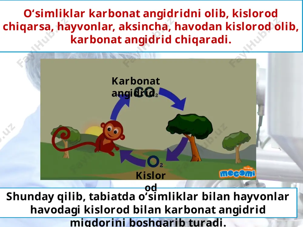 organizmlarning yer qobiqlariga ta’siri 5 -sinf - Page 5