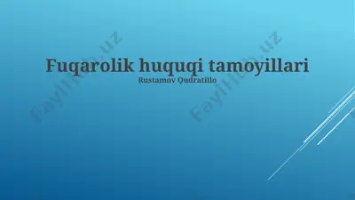 fuqarolik huquqi tamoyillari — PPTX