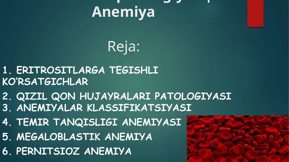 6,5 mkm. poykilositoz – eritrositlar shakli o’zgarishi normada ikki tomonlama botiq disk shaklida patologik tiplari: akantositlar exinositlar dakriotsitlar shizotsitlar degmatsitlar elliptotsitlar sferositlar makro-ovalositlar kodositlar o’roqsimon h-lar stomatotsitlar anizoxromiya – eritrositlar rangining o’zgarishi giperxrom - hb - intensiv bo’yaladi gipoxrom - hb - rang oz bo’ladi anulotsitlar - periferik qismi uzuk shaklida patologik kiritmalar howell-jolly tanachalari -yadro qoldiqlari; -funksional gipospleniya; - o’roqsimon anemiya. pappengeymer tanachalari - fe+3 tutgan bazofil (sideroz) granulalar; - sideroblastik anemiya. geinz tanachalari g6pd (glyukoza-6-fosfat degidrogenaza) yetishmovchiligida; denaturatsiyalangan, presipitatsiyalangan va fe tutgan hb; fagotsitotik yo’qolishidan degmatsitlar hosil bo’ladi. kebot halqalari yadro qobig’ining uzuk shaklidagi qoldiqlari bazofil donadorlik - sideroblastik anemiyada; talassemiyada; bazofil ribosomal presipitatlar (fe tutmaydi). patologik regeneratsiya hujayralari megaloblastlar - juda yirik hujayralalar (d=15-17mkm); bazofil, polixromatofil, atsidofil sitoplazma; ekssentrik yadro; megaloblastik anemiyada. megalositlar - yadrosiz hujayralar; d=10-12 mkm; markaziy qismi bo’yaladi; megaloblastik anemiyada, qisman folat kislota yetishmovchiligida megaloblastlar (mikrofotografiya) megaloblast va megalositlar (shuningdek, neytrofil leykositlar, eritrositlarning normal …
