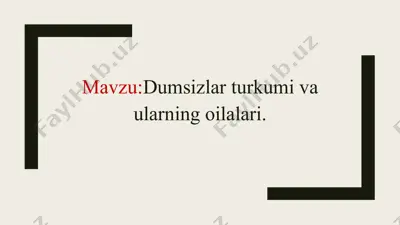dumsizlar turkumi va ularning oilalari — PPTX