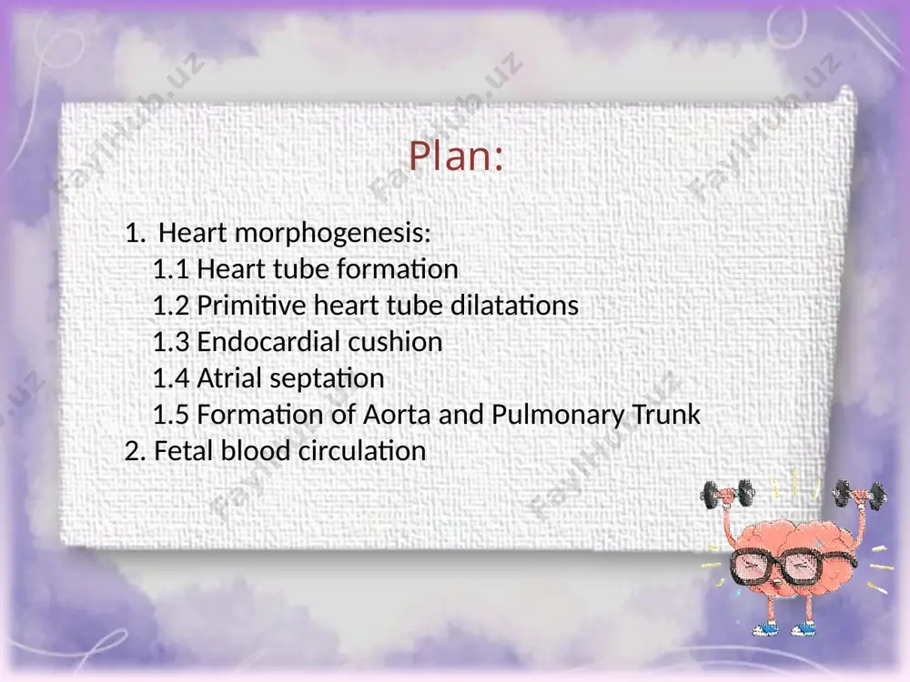 morphogenesis of heart. - Page 2