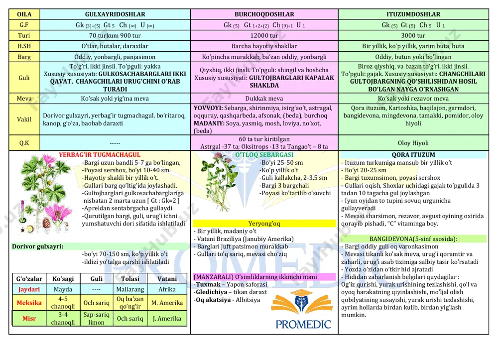 gullaydi - c va k vitamin, olma, limon kislotalari bor - yer ustki qismi qon ketishini to’xtatishda foydalaniladi oddiy lavlagi h.sh- ikki yillik o’t may oyida gullaydi, gullari mayda. (mayda-mayda) changchisi 5ta. urug’chisi 3 ta sentabrda yong’oqcha meva hosil qiladi. ismaloq – 2 turi bor. (rezavor, turkiston) - rezavor- bir yillik, ziravor qatorida ekiladi - turkiston- bir yillik ikki uyli begona o’t. saksovul - 2 ta turi bor (oq va qora) - hayotiy shakli –daraxt - mart oxiri aprel boshida gullaydi - sentabrning ikkinchi yarmida mevasi pishadi - 5 ta gulqo’rg’on bargchalaridan qanotcha o’sib chiqadi, shamolda tarqaladi. - bargi mayda tangachasimon - bir yillik novdasi va mevasi chorva mollariga oziq sifatida qo’llaniladi cherkez - bargi va mevasi-qon bosimini pasaytirishda qo’llaniladi. oddiy namatak (ra’no) tuzuvchi: davronov shahriyor oila gulxayridoshlar burchoqdoshlar ituzumdoshlar g.f gk (3)+(5) gt 5 ch (∞) u (∞) gk (5) gt 1+2+(2) ch (9)+1 u 1 gk (5) gt …