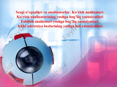 ko'rish analizatori — PPTX