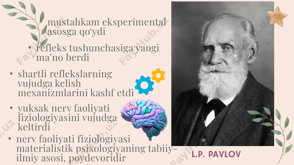 nerv faoliyatining asosiy jarayonlari qo‘zg‘alish tormozlanish shartli refleks shartsiz qo'zg'ovchi shartli qo'zg'ovchi irradiatsiyalanadi itda muayyan balandlikdagi tovushga, masalan, do tovushiga (ya’ni 1024 tebranishda) shartli refleks hosil qilina boshlaganda, dastlab bu tovushning o'zigina emas, balki har qanday balandlikdagi tovush ham itning og'zidan so'lak chiqaraveradi (generalizatsiyasiga) markazlar bir-biridan aniq chegara bilan ajralgan emas irradiatsiya konsentratsiya takrorlanish soniga qo'zg'ovchining kuchiga konsentratsiyalanishi irradiatsiya tormozlanish qo'zg'alish shartsiz shartli bosh miya po'stidagina bo'lib qolmay, balki nerv sistemasining quyi bo‘limlarida ham bo'ladi. tashqi tormozlanish chegaradan tashqari tashqi tormozlanish shartli refleks bironta kuchli begona qo'zg'ovchining ta’siri ostida susaysa yoki yo'qolib ketsa qo'ng'iroq chalinishi bilan itning og'zidan so'lak oqadi, agar shu vaqtda yalt etib elektr yoqilsa, itning og'zidan so'lak oqmay qoladi. it elektr yonib turgan tomonga qaraydi chegaradan tashqari tormozlanish shartli qo'zg'ovchi haddan tashqari (maksimal darajada) kuchli ta’sir etganda voqe bo'ladigan tormozlanishni bu hol tormozlanish jarayoni qo'zg'alish jarayoniga haddan tashqari zo'r kelishi munosabati bilan ro'y beradi va bosh miya …