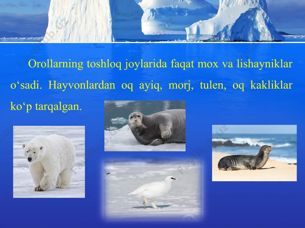 sovuq va mo‘tadil iqlim mintaqalaridagi tabiat zonalari (yevrosio) 6-sinf - Page 3
