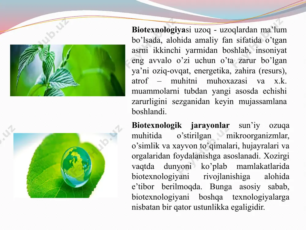 lik kallus to’qimalari yorug’likga ehtiyoji yo’q, chunki ularni xloroplastlari bo’lmasdan, geterotorf oziqlanadilr. ba’zi – bir yashil rangdagi kallus to’qimalar bundan mustasno. ba’zi bir holatlarda kallus to’qimalar avtotrof oziqlanishiga qobiliyatli emas, bularni doimiy yorug’lik sharoitida o’stiriladi, bu esa muvoffaqiyatli morfogenez uchun majburiy sharoitdir ko’proq kallus to’qimalar qorong’ilikka olinadi. morfogenezga aniqlangan (determinirovano’e) to’qimalar yorug’likga o’tkazilib, keyin 1000- 4000 lk yorug’likda o’stiriladi. adabiyotlar: 1. muhamedov e.m., eshboev e.x. mikrobiologiya, immunologiya, virusologiya. t.,. 2. vorobyov a.a., bo`kov a.s. «mikrobiologiya». m., izd-vo «vo`sshaya shkola». 2003. 3. pyatkin n.d., krivoshein yu.s. mikrobiologiya va immunologiya. m., izd-vo «meditsina» 1980. 4. sinyushina m.n., samsonova m.n. rukovodstvo k laboratorno`m zanyatiyam po mikrobiologii. m., 1981. image2.jpeg image3.jpeg image4.jpeg image5.jpeg image6.jpeg image7.jpeg image8.jpeg image9.jpeg image10.jpeg image11.jpeg image12.jpeg image13.jpeg image14.jpeg image15.jpeg image16.jpeg image17.jpeg