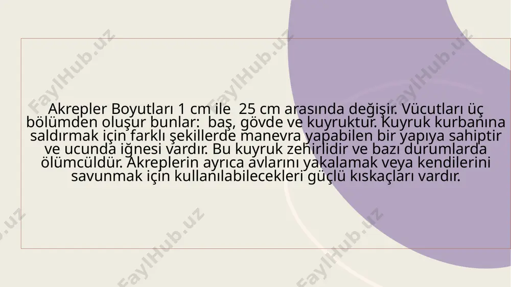 ın ilk isimlerini türlerinin bağlı olduğu aileden alırlar. bilimsel isimleri ile akrep türleri şunlardır; chaerilidae pseudochactidae buthoidea iuridae bothriuridae chactidae scorpionidae 7 scorpinodae 8 chactidae 2.500’den fazla tanımlanmış tür vardır ve bunların büyük çoğunluğu tropikal bölgelerde ve çöllerde bulunur. türler arasında, daha küçük türler genellikle daha zehirlidirler. daha büyük akrepler potansiyel avcılara daha korkunç görünerek aralarındaki farkı telafi ederler. yağ kuyruklu akrep (androctonus australis) da ölümcül akrep sınıfının en kötü şöhrete sahip üyelerinden biridir. bu sinsi tehlikeli akrep türünün kuzey afrika ve orta doğu’da çok yaygın olduğu ve çok sayıda ölümden sorumlu olduğuna inanılmaktadır. ayrıca oldukça agresif olduğu bilinmektedir. 9 9 bilimsel adı leiurus quinquestriatus, “beş çizgili düz kuyruk” anlamına gelir. renkleri sarıdır ve yaklaşık 3-8 cm arası büyüklüğe sahiptirler. dişiler daha büyüktür. bu akrepler gecedir ve ve diğer canlılar tarafından boş buldukları alanlara yuvalarını yaparlar. 43.5 ° c civarında sıcaklıklara ve çok düşük yağışa sahip sert iklimlerde onlar için …