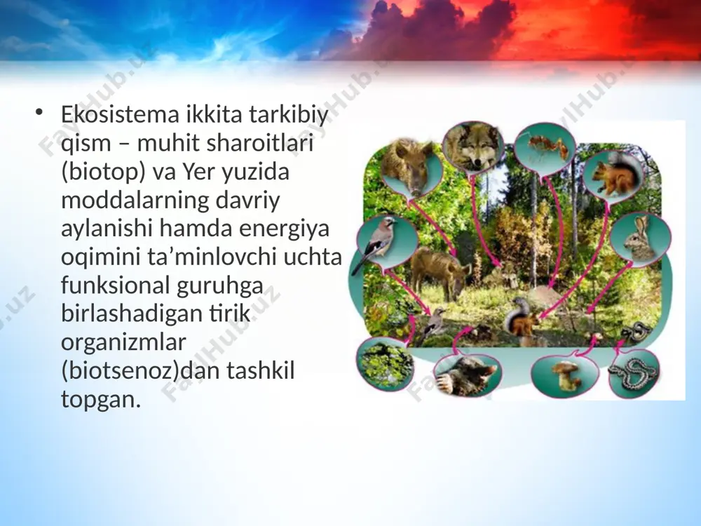 gi muvozanat va o‘zaro munosabatlarni tabiiy yoki antropogen ta’sirlardan so‘ng tiklay olish xususiyati. biogeotsenozdagi biotik munosabatlar tufayli turlar soni doimiy saqlanadi. biogeotsenozlarning rivojlanish xususiyati ularning tuzilishi hamda faoli yatida o‘zgarishlarning sodir bo‘lishi bilan bog‘liq. biogeotsenozlardagi o‘zgarishlar davriy (siklik) va tadrijiy (izchil) bo‘ladi. davriy o‘zgarishlar muhit omillarining sutkalik, mavsumiy o‘zgarishlari, shuningdek bioritmlar bilan belgilanadi. suksessiya – biotsenoz (ekosistema)larni tashkil etgan turlarning tarkiban o‘zgarishi va jamoa tarkibiy tuzilishining izchillik asosida o‘rin almashinishi natijasida vujudga keladi. image2.jpeg image3.jpeg image4.jpeg image5.jpeg image6.jpeg image7.jpeg image8.jpeg image9.jpeg image10.jpeg image11.jpeg image12.png image13.jpeg image1.jpeg