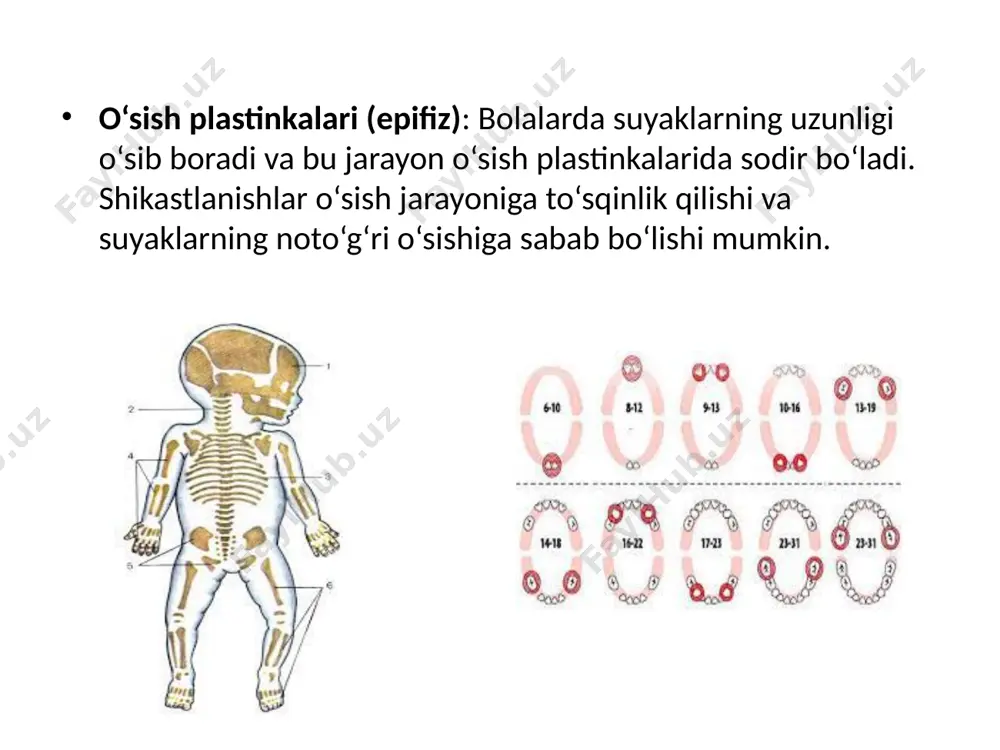 bolalar suyak shikastlanishlarining o‘ziga xosligi - Page 4