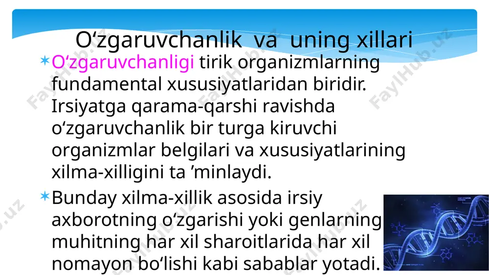 rim xromosomalar soni o‘zgarishlari (aneuploidiya yoki geteroploidiya). 1 x= xromosoma normal erkak xy yoki kasal ayol xo (shereshevskiy-terner sindromi) 2 x= xromosoma normal ayol xx yoki kasal erkak xxy (klaynfelter sindromi) 3 x= xromosoma kasal ayol xxx (trisomiya x) yoki kasal erkak xxxy (klaynfelter sindromi) 4 x= xromosoma kasal ayol xxxx (polisomiya x) yoki kasal erkak xxxxy (klaynfelter sindromi) i tipdagi genomning butunligicha o ‘zgarishlaridan poliploidiya ko‘proq uchraydi. poliploidiya o‘simliklarda ko‘p uchraydi, ularning hosildorligi ni oshiruvchi omillardan biri hisoblanadi, seleksiyada bu odisadan keng foydalaniladi. hayvonlarda poliploidiya deyarli uchramaydi, chunki ularning yashovchanligi susayadi, bunday organizmlar steril bo‘ladi. lekin hayvonlarda ayrim somatik hujayralarda (jigar, mushak, suyak — tog‘ay hujayralari) poliploidiya kuzatilishi mumkin. poliploidiya mexanizmlari: meyozda gametogenezda xromosomalar ajralishi buzilishi. 2. somatik hujayralarda mitoz tugallanmay qolishi natijasida ko‘p xromosomali ko‘p dnk saqlovchi (politeniya, poliploidiya) va ko‘p yadroli hujayralar hosil bo‘lishi. 3. poliploidiyani mitozni to ‘xtatuvchi moddalar (kolxitsin) ta’sirida sun’iy hosil qilish mumkin. i. …
