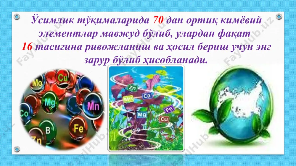 2 хлорид иони - сl - agno3 эритмаси agcl- оқ паға чўкма 3 аммоний иони - nh4+ naoh эритмаси;қиздириш ўткир ҳидли nh3 гази ажралади,ҳўлланган лакмус қоғози кўкаради 4 фосфат иони - pо43- agno3 эритмаси ag3po4 –сариқ чўкма 5 нитрат иони - nо3- конц h2sо4 ва си бўлакчаси no2-қўнғир газ ажралади таҳлил натижаларини қайд қилиш жадвали ранги сувда эриши - nо3- иони учун - sо42- иони учун - nh4+ иони учун - сl -иони учун - pо43-иони учун ўғитнинг формуласи конц h2sо4 ва си бўлакчаси bacl2 эритмаси naoh эритмаси; қиздириш agno3 эритмаси agno3 эритмаси 1-ўғит оқ кристалл яхши - оқ чўкма ўткир ҳидли газ ажралди - - (nh4)2sо4 2-ўғит оқ кристалл яхши ўткир ҳидли,қўнғир газ ажралди - - - - nano3 3-ўғит кулранг доначалар оз - - - - сариқ чўкма са(h2pо4)2 4-ўғит пушти кристалл аралашган яхши - - - оқ паға чўкма - кcl*nacl интерфаол топшириқлар кеч кузда ерни шудгор …