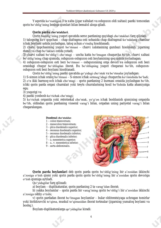 k o‘rtasida – o‘rta kindik burmasi (plica umbilicalis mediana) va yon kindik-qovuq burmalari, ular ham pastga, qovuqning yonboshiga yo‘naladi, jigarning chap sagittal egatiga yo‘nalgani – jigarning yumaloq boylamidir. qorin parda xaltalari. jigarning o‘ng xaltasi – diafragma hamda jigarning o‘ng bo‘lagi orasida joylashgan bo‘lib 5 ta devori bor: yuqorida – diafragmaning pay markazi, pastda – jigar o‘ng bo‘lagining yuqori yuzasi; orqada – jigarning o‘ng tojli boylami; ichkarida – o‘roqsimon boylam; tashqarida– diafragmaning muskul qismi. bu yerda ko‘pincha diafragma osti abssesslari joylashishi mumkin. toshkent tibbiyot akademiyasi. gulmanov i.d. 2020 y. 3 jigarning chap xaltasi – jigarning chap bo‘lagi va diafragma orasida bo‘lib, oldindan diafragmaning muskul qismi bilan ; orqadan – jigarning chap toj boylami, ichki tomondan – o‘roqsimon boylam va tashqi tarafdan uchburchak boylam bilan chegaralangan. oshqozon oldi xaltasi – oshqozon bilan jigarning chap bo‘lagi orasida joylashgan. aniq chegaralari ko‘yidagicha: oldindan – jigar chap bo‘lagining pastki yuzasi, orqadan – oshqozonning oldingi devori, …