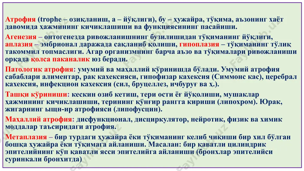 atik; 2) toksik; 3) trofonevrotik; 4) allergik; 5) ishemik nekrozning makroskopik belgilari. nekrozlangan to'qimaning kontsistentsiyasi, rangi va hidi o'zgaradi. miokard va bosh miya nekrozida to'qima yumshaydi, erib ketsa –miomalyatsiya, entsefalomalyatsiya deyiladi. yurak, buyrak, taloqda nekroz oq yoki oq-sariq rangli infarkt ko'rinishida bo'ladi. infarkt – to'qimaning qiymalanishi degani. teri, oyoq-qo'llar nekrozi zichlashib, qurib, mumifikatsiyalanib, temir sulfid paydo bo'lishidan qora rangga kiradi, gangrena deyiladi. gangrena – kuyish, rangi qorayish. 1) koagulyatsion nekroz – oqsilga boy to'qimalarda denaturatsiya oqibatida quruq, zich, kulrang-sariq tusdagi nekrozdir. 2) kollikvatsion nekroz – suyuqlikga boy to'qimalarda, nekrozning erishi va kista paydo bo'lishi bilan namoyon bo'ladi. 3) gangrena – tashqi muhit bilan aloqasi bor to'qimalarda, xavo va bakteriyalar ta'sirida qon pigmentlarining temir sulfidga aylanishidan qora rangga kiradi va kuygan jismni eslatadi (gangrena –kuyish degani). 4) sekvestr – autolizga uchramaydigan qattiq to'qima nekrozi (suyak, tog'ay, pay). 5) infarkt – tashqi muhitdan holi,ichki a'zolar ishemik nekrozi. 6) fibrinoid nekroz – biriktiruvchi …