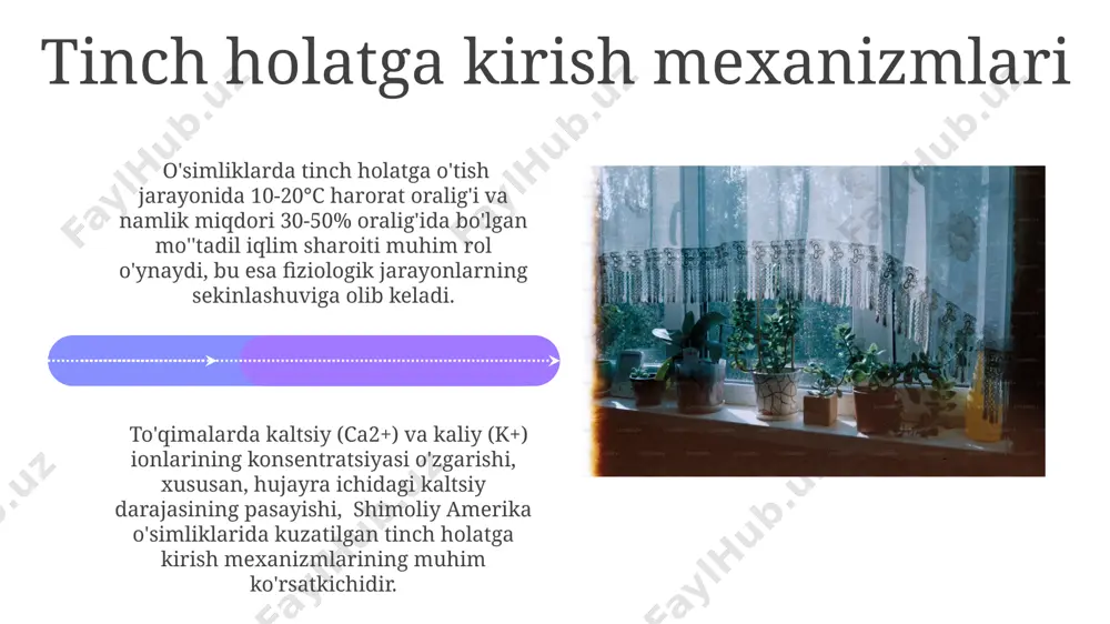 o'simliklardagi tinim holati - Page 4