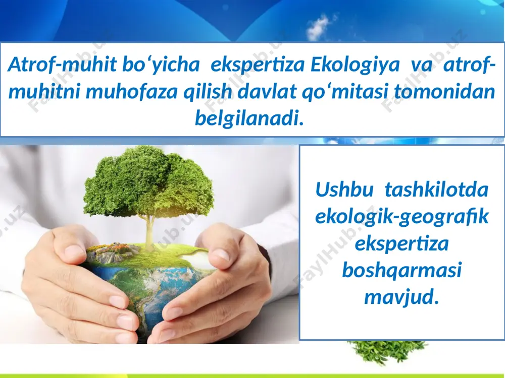 ekologik ekspertizani baholash - Page 4