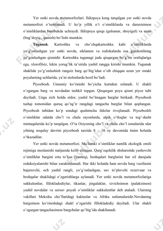 ilan xarakterlanadi. har ikki holatda ham novda barg vazifasini bajaruvchi, och yashil rangli, yo’g’onlashgan, suv to’plovchi rezervuar va boshqalar shaklidagi o’zgarishlarga aylanadi. yer ustki novda metamorfozlariga sukkulentlar, fillokladodiylar, tikanlar, jingalaklar, xivichsimon (palaksimon) yashil novdalar va sersuv poyali o’simliklar sukkulentlar deb ataladi. ularning vakillari meksika cho’llaridagi kaktuslar va afrika sutlamalaridir.novdaning bargsimon ko’rinishdagi shakl o’zgarishi fillokladodiy deyiladi. ular shakli o’zgargan tangachasimon bargchalar qo’ltig’ida shakllanadi. tikanlar. ikki pallali o’simliklarning daraxtsimon va o’tsimon vakillarida uchraydi.novdaning tikanga aylanishi uning ma’lum darajada suv bug’latish yuzasini kamaytiradi. tikanlar bundan tashqari o’simlikni hayvonlar yeb qo’yishidan himoya qiladi. jingalaklar. jingalaklar novdaning metamorfozi hisoblanib, ular ham o’simlikning qisman bug’latish yuzasini kamaytiradi. asosiy vazifasi biror substratga ilashishdir. jingalaklar uzumdoshlar, qovoqdoshlar va boshqa oila vakillarida uchraydi. xivichsimon (palaksimon) yashil novdalar. ular ispan droki, ritamalar va boshqa o’simliklarda uchrab, barglarini erta to’kadilar (bahorning o’rtalari yoki yozning boshlari), natijada novdalar barg vazifasini bajarishga o’tadi. fotosintez vazifasini yo’qotgan yer ustki stolonlar asosan vegetativ uo’payish vazifasini …