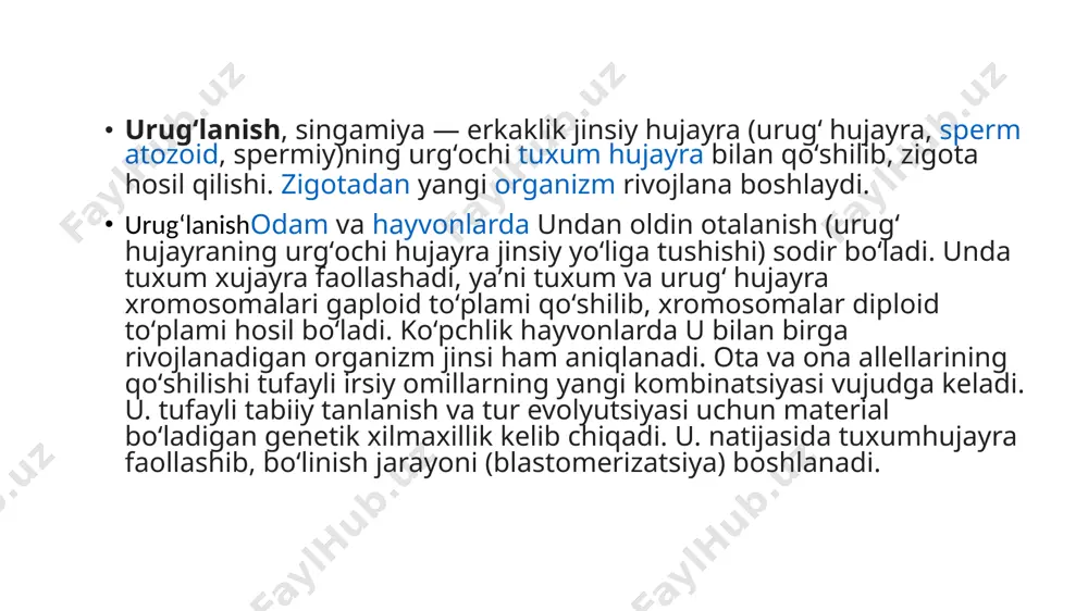 odam embriologiyasi prezentatsiyasi - Page 4