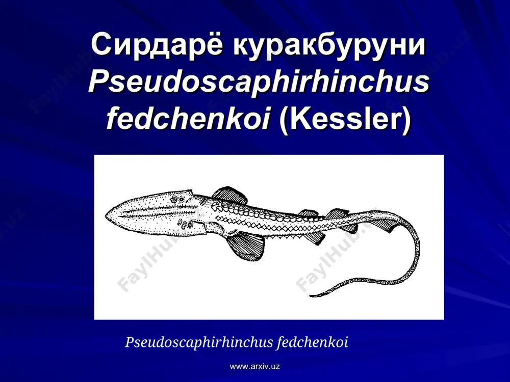 қ оқчаси parabramis pekinensis (basilewsky) parabramis pekinensis www.arxiv.uz www.arxiv.uz шарқ оқчаси abramis brama orientalis berg abramis brama orientalis www.arxiv.uz www.arxiv.uz қоракўз abramis sapa (pallas, 1811) abramis sapa www.arxiv.uz www.arxiv.uz орол майбалиғи chalcalburnus chalcoides aralensis berg chalcalburnus chalcoides aralensis www.arxiv.uz www.arxiv.uz шарқ тезсузари alburnoides bipunctatus eichwaldi (filippi) alburnoides bipunctatus eichwaldi www.arxiv.uz www.arxiv.uz чизиқли тезсузар alburnoides taeniatus (kessler) alburnoides taeniatus www.arxiv.uz www.arxiv.uz тошкент юзасузари alburnoides oblongus bulgakov alburnoides oblongus www.arxiv.uz www.arxiv.uz кўзли тахирбалиқ rhodeus ocellatus (kner.) rhodeus ocellatus www.arxiv.uz www.arxiv.uz қизилпарра scardinius erythrophthalmus (linnaeus) scardinius erythrophthalmus www.arxiv.uz www.arxiv.uz гўзал балиқ phoxinus phoxinus (linnaeus) . phoxinus phoxinus www.arxiv.uz www.arxiv.uz орол оққайроғи aspius aspius iblioides (kessler) . aspius aspius iblioides www.arxiv.uz www.arxiv.uz чўртансифат оққайроқ aspiolucius esocinus kessler aspiolucius esocinus www.arxiv.uz www.arxiv.uz учлаб opsariichthys uncirostris (temminck et schlegel) opsariichthys uncirostris www.arxiv.uz www.arxiv.uz амур чебакчаси pseudorasbora parva (temminck et schlegel) pseudorasbora parva www.arxiv.uz www.arxiv.uz орол қизилкўзи rutilus rutilus aralensis berg rutilus rutilus aralensis www.arxiv.uz www.arxiv.uz туркистон …