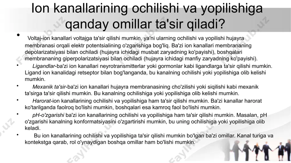ion kanallari holat dinamikasining modeli - Page 4