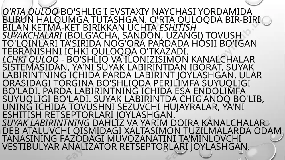 eshitish va muvozanat azolarining yoshga bog'liq o'zgarishlari - Page 5
