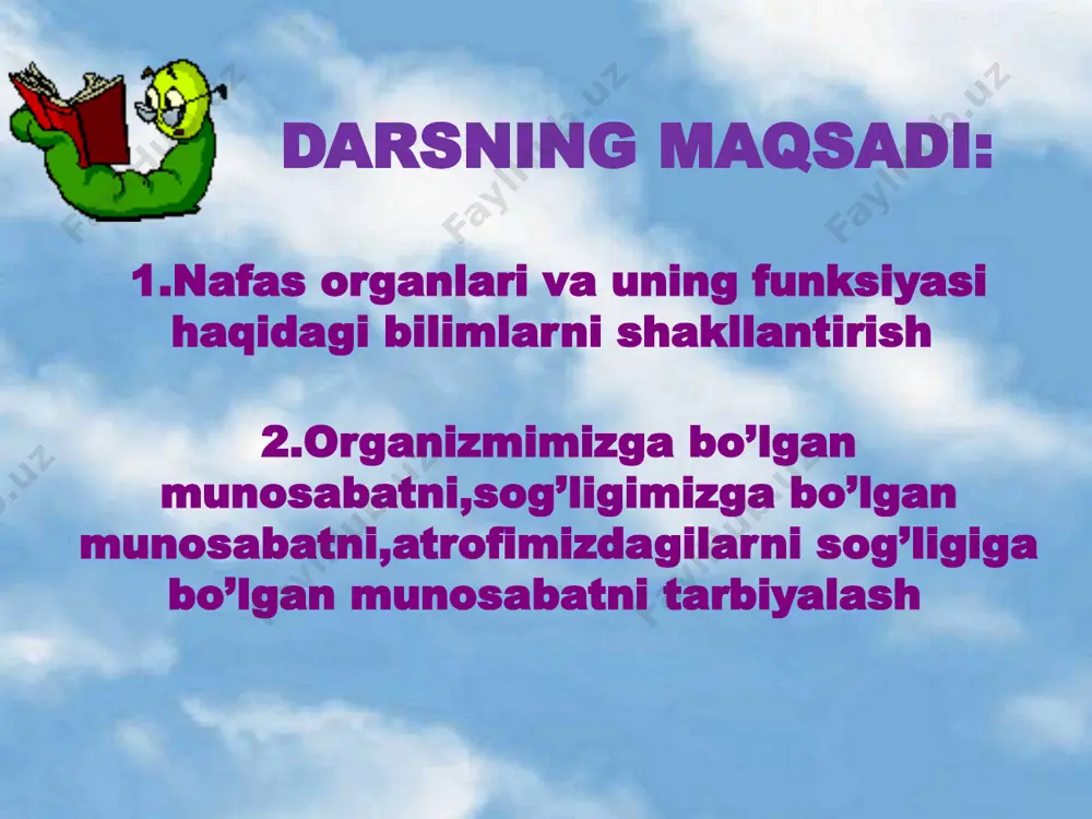 ha,mayda bronxchalardan hamda pufaksimon alveolalardan tashkil topgan gaz almashinuvi mustahkamlash rasmda nimalar tasvirlangan nomlarini ayting? 1 2 3 4 5 organlar 1. burun bo’shlig’i 2. hiqildoq 3. traxeya va bronxlar 4. o’pkalar 5. plevra bajaradigan funksiyasi а) o’pkani tashqi tomondan o’rab turadi b) havoni namlab chang zarralarini ushlab qoladi v)9-13 sm,yarim aylana tog’aydan iborat,daraxtsimon shoxlangan g) ovoz apparati d)gaz almashinuvi organlarni funksiyasi bilan juftlab yozing javoblar 1-b 2-g 3-v 4-d 5-a 7 uyga vazifa 70-73-betlarni o’qish.ijodiy topshiriq: а)rebus va krossvord tuzish б) savollarga javob bering: 1. nima uchun ovqatlanayotgan paytda gapirib bo’lmaydi? 2.nima uchun o’g’zdan nafas olish mumkin emas? etiboringiz uchun raxmat! foydalanilgan internet resurslari http://tana.ucoz.ru/l image2.jpeg image3.jpeg image4.jpeg image5.jpeg image6.jpeg image7.gif image8.jpeg image9.png image10.jpeg image11.gif image12.jpeg image13.jpeg image14.jpeg image15.jpeg image16.jpeg image17.jpeg image18.jpeg image23.png image24.png image25.png image19.jpeg image20.png image21.png image22.png image26.jpeg image27.jpeg image28.jpeg image29.jpeg image30.jpeg image31.gif /docprops/thumbnail.jpeg
