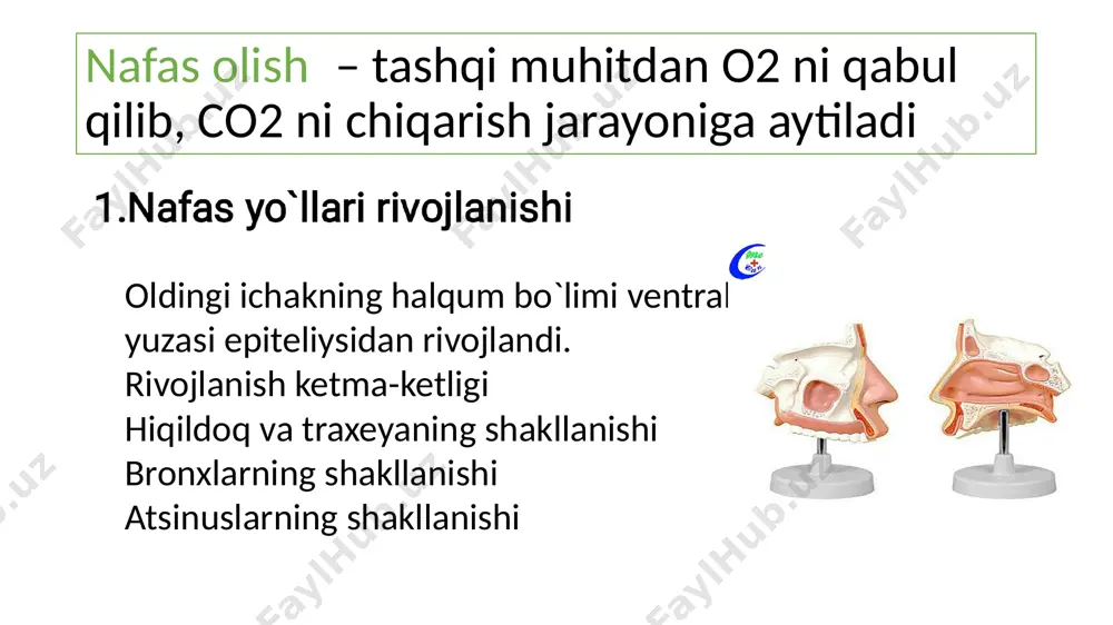 hid bilish a’zosi - Page 3