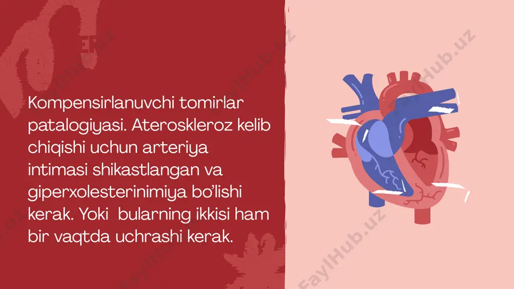yurak qon-tomir patafiziologiyasi - Page 3