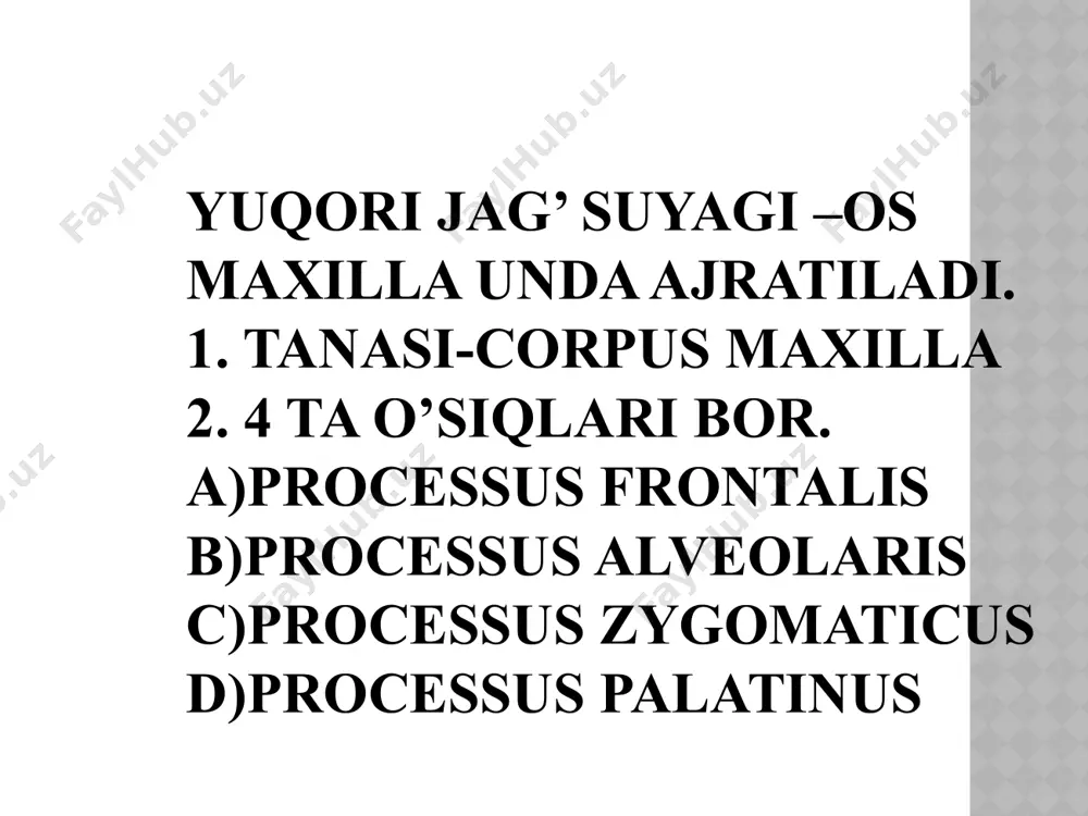 va tashqi yuzasi farqlanadii. alveolar ravoqda 16 ta tish katakchasi alveola dentalis va alveolalararo to’siq septa interalveolaria, ildizlar aro to’siq septa interradicularia alveola bo’rtmasi juga alveolaria farqlanadi. tashqi tomonida engak do’ngligi protuberantia mentalis, foramen mentale va linea obliquae joylashgan. yonoq suyagi (os zygomaticum) yuz suyaklari orasida eng qattig‘i bo'lib, kallaning miya va yuz qismi suyaklari (peshona, chakka, yuqori jag')ni bir-biriga qo'shib turadi. yonoq suyagida 3 ta yuza va 3 ta o’simtasi bor. 1. facies lateralis 2. facies temporalis 3. facies orbitalis ko'z yoshi suyagi (os lacrimale) bir juft, to'rtburchak shakldagi juda yupqa va nozik plastinka bo'lib, ko'z kosasi medial devorining oldingi qismini hosil qilishda qatnashadi. lateral yuzada joylashgan orqa ko'z yoshi qirrasi (crista lacrimalis posterior) pastga tomon ko'z yoshi ilmog'i (hamulus lacrimalis) bo'lib tugaydi. ko'z yoshi qirrasining oldida joylashgan ko'z yoshi egati (sulcus lacrimalis) yuqori jag'ning shunday egati bilan qo'shilib ko'z yoshi xaltachasining chuqurchasini (fossa sacci lacrimalis) hosil qiladi. burun …