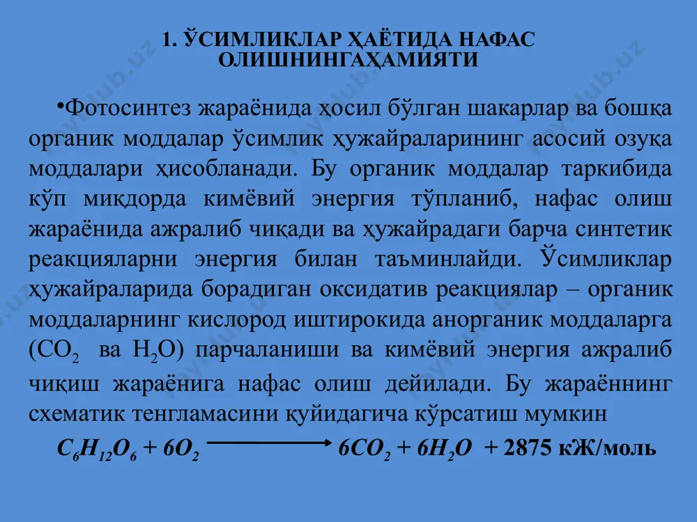 нафас олиш жараёнининг ана шу ўзига хос хусусиятларини аниқлаб нафас олиш химизмининг ҳозирги замон тушунчасига асос солган олимлар а.н. бах ва в.и. палладинларнинг назариялари диққатга сазавордир. а.н. бахнинг пероксид назарияси 1897 йилда а.н.бах биологик оксидланишнинг пероксид назариясини ишлаб чиқди. кислород осон оксидланувчи модда (а) билан бирикиб қўш боғдан биттаси узилади ва пероксид (ао2) ҳосил қилади. ҳосил бўлган пероксид (ао2) бошқа в моддани осон оксидлантириб ўзи яна кислородни акцептори вазифасини бажаради. 0=0 - 0 - 0 - инерт кислород фаол кислород а+о2 а 0 0 а + в во +а 0 0 а.н. бах кислородни фаолловчи моддаларни оксигеназалар деб атади. оксигенезаларга ўсимликлар тўқимасида кўп тарқалган ҳар хил кимёвий бирикмалар киради. оксигеназалардаги фаоллашган кислород оксидланаётган субстратга кўчирилади. маълум вақт фанда, бу жараёнда пероксидаза ферменти муҳим аҳамиятга эга, деган фикр ҳукм сурди. лекин 1955 йилда японияда (о.хаяиши ва бошқалар) ва ақш да (г.с.мэзон ва бошқалар) молекуляр кислороднинг органик моддалар билан бирикиши мумкинлигини исботлашди. …