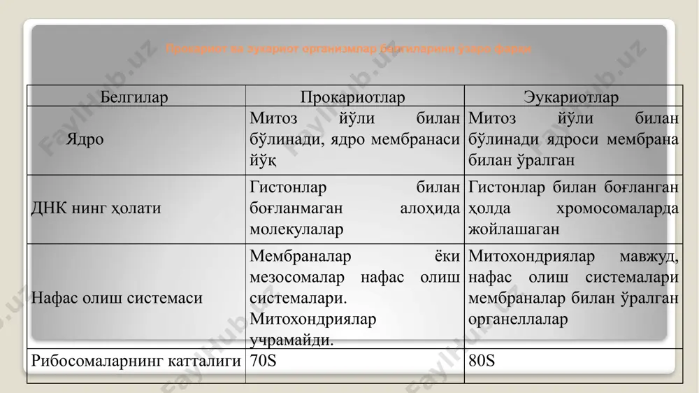 р ҳосил килувчи ипсимон цианобактериялар; 8, 15, 17, 18 - ҳар хил типда ҳивчин ҳосил қилувчи бактериялар; 19 - капсула ҳосил қилувчи темир гидрат оксидидан тузилган қобиққа ўралган ипсимон sphaerotilus гурухи; 21 - тиканлар ҳосил қилувчи бактерия; 22 - gallionella sp. баъзан буралган ёки спиралсимон ёки пармасимон буралган (спирохета) кўринишга эгалари ҳам учрайди, улар спириллалар (спира - лотинча буралган). спириллаларни бурилишга эга бўладиган калта эгилганлари вибрионлар (вибрио - лотинча қайриламан) деб аталади. бактерияларнинг ипсимон шакллари, кўп ҳужайралилари ҳам бўлиб, ҳужайранинг ташқи томони ҳар хил ўсимталар ҳосил қилади. уларнинг учбурчак, юлдузсимон, очиқ ёки ёпиқ халқа, чувалчангсимон ва бошқа шакллари ҳам учрайди. спирохета ҳужайрасининг узунасига (а) ва кўндаланг кесмасининг (б) чизмаси: а - расмда ҳужайранинг учларида жойлашган аксиал фибрилла. б – аксиал фибриллардан тузилган иккита тўп аксиал фибрилла: 1 – проплазматик цилиндр, 2 – ташқи пўст, 3 – аксиал фибрилл; 4 – аксиал фибрилларнинг жойланиш ўрни; 5- ҳужайра деворининг пептидогликан қавати; 6 …