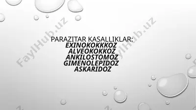 parazitar kasalliklar — PPTX