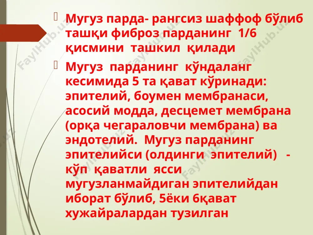 fotoretsepsiyaning morfologikasoslar - Page 5