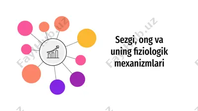 sezgi, ong va uning fiziologik mexanizmlari — PPTX