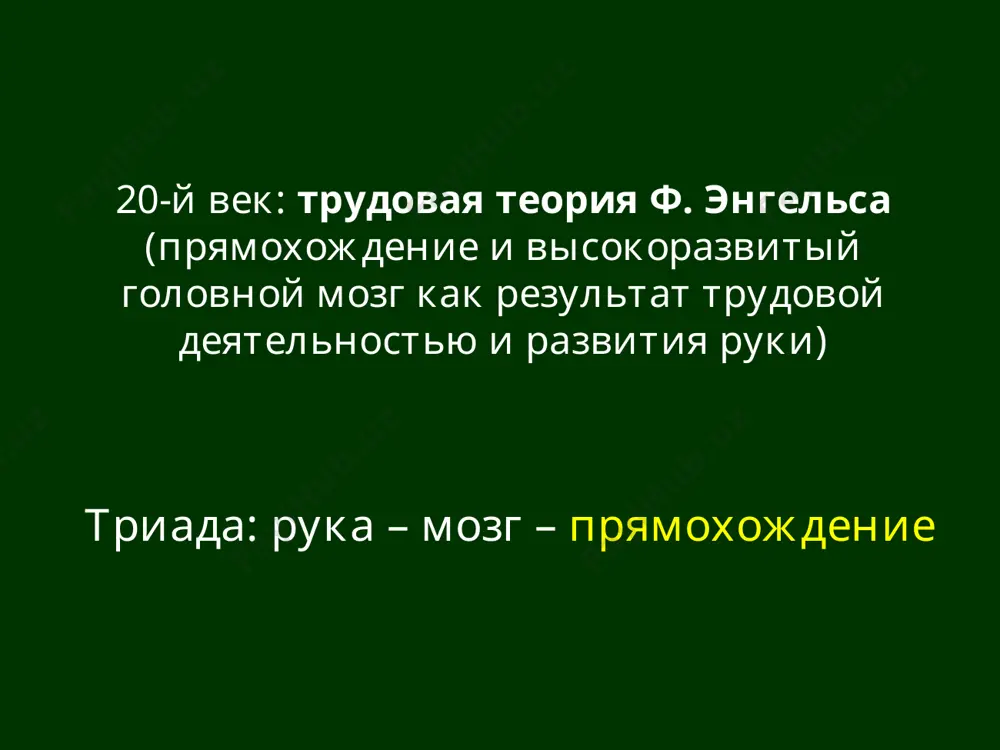 problemy evolyutsii cheloveka v sovremennoy antropologii - Page 3