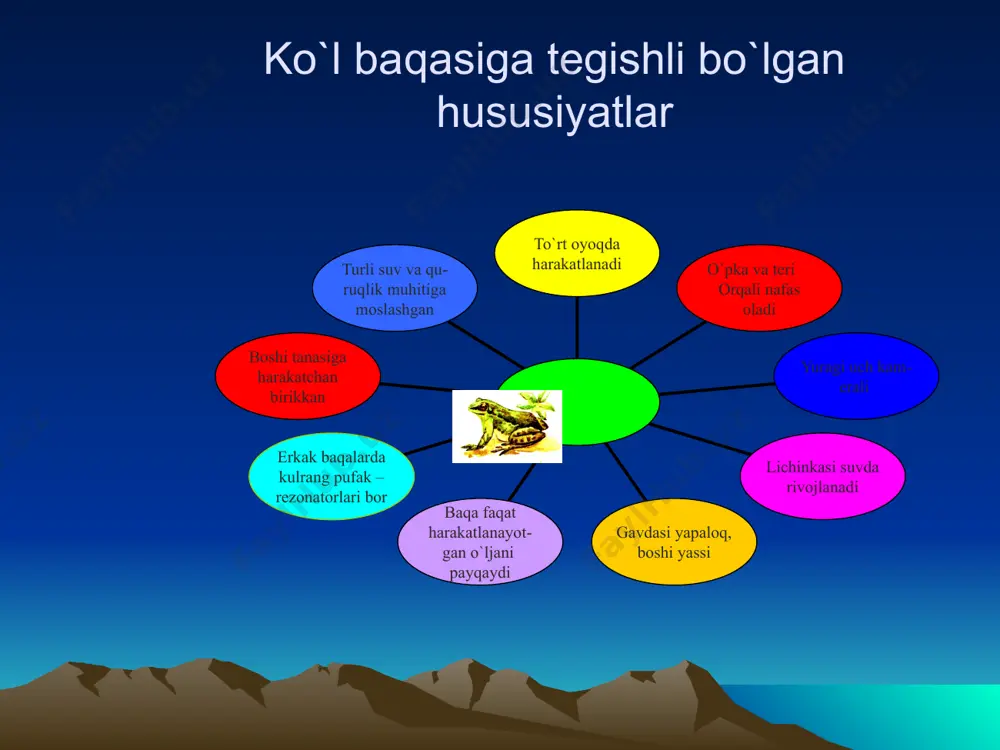 suvda hamda quruqlikda yashovchilar sinfi - Page 4