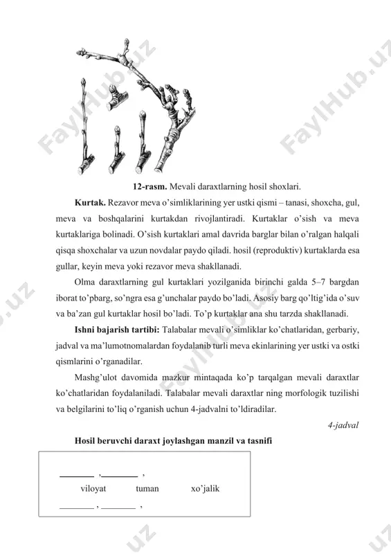 olma daraxtlarning gul kurtaklari yozilganida birinchi galda 5–7 bargdan iborat to’pbarg, so’ngra esa g’unchalar paydo bo’ladi. asosiy barg qo’ltig’ida o’suv va ba’zan gul kurtaklar hosil bo’ladi. to’p kurtaklar ana shu tarzda shakllanadi. ishni bajarish tartibi: talabalar mevali o’simliklar ko’chatlaridan, gerbariy, jadval va ma’lumotnomalardan foydalanib turli meva ekinlarining yer ustki va ostki qismlarini o’rganadilar. mashg’ulot davomida mazkur mintaqada ko’p tarqalgan mevali daraxtlar ko’chatlaridan foydalaniladi. talabalar mevali daraxtlar ning morfologik tuzilishi va belgilarini to’liq o’rganish uchun 4-jadvalni to’ldiradilar. 4-jadval hosil beruvchi daraxt joylashgan manzil va tasnifi , , viloyat tuman xo’jalik , , araxt turi, avlodi ekish tartibi ekilgan yili , daraxtlar soni yozish muddati talabaning f.i.sh. subtropik mevalar subtropik mevalarga anor, anjir, bodom, xurmo kabi o’simliklar kiradi. anor bir tekis pishib yetilmaganidan bir necha marta bo’lib-bo’lib teriladi. dumbulligida terilgan anor saqlash vaqtida pishib yetiladi va о’ziga xos maza hosil qiladi. u qisqagina meva bandi bilan birga bog’ qaychida kesib terilib, savat, …